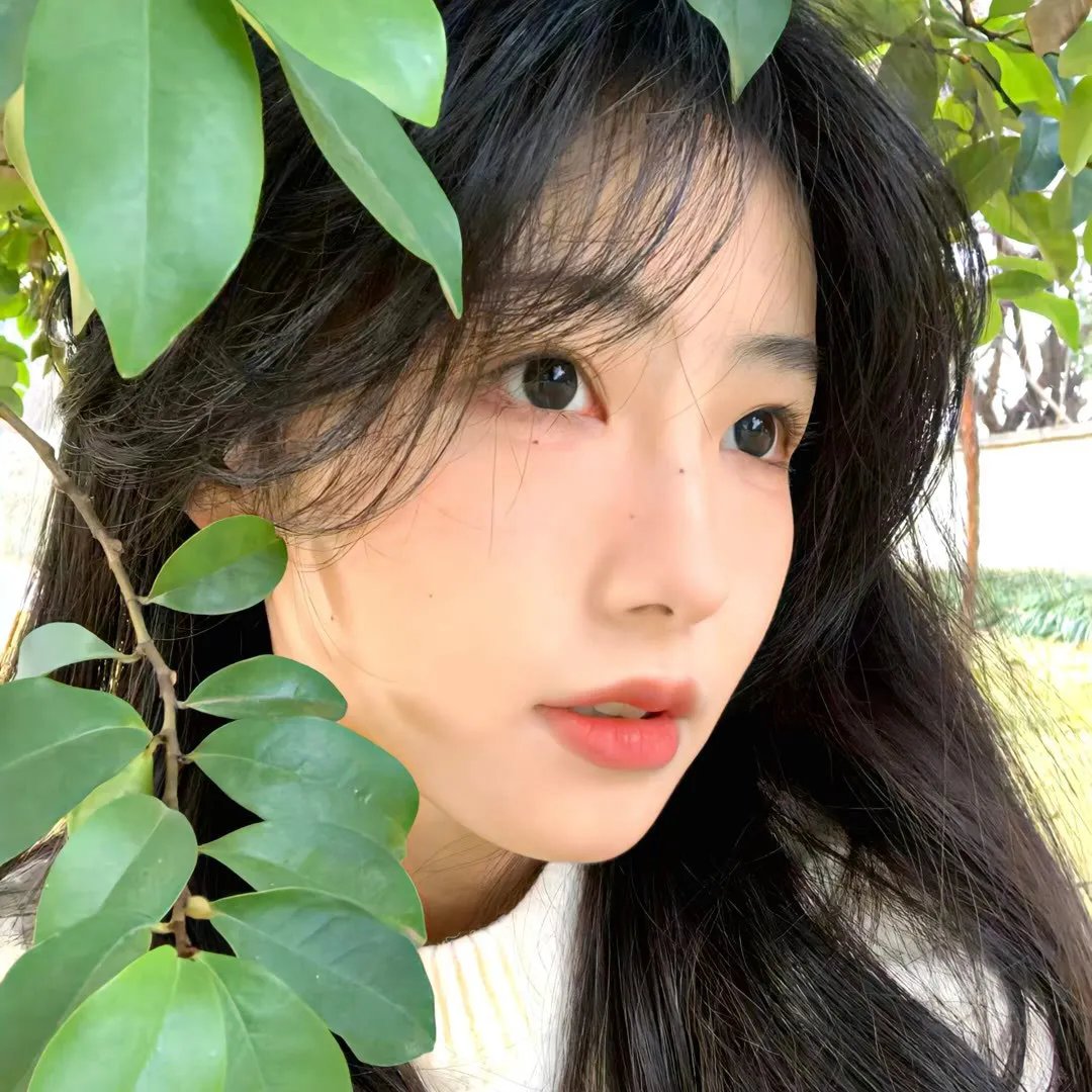 垮掉的一代 在线观看封面