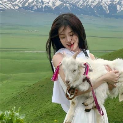 拥抱大白熊 在线观看封面